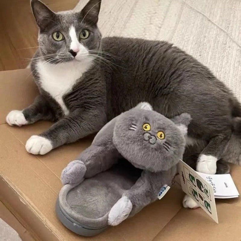 Cat slippers, plush slippers. farry fashion