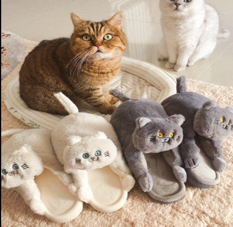 Cat slippers, farry fashion